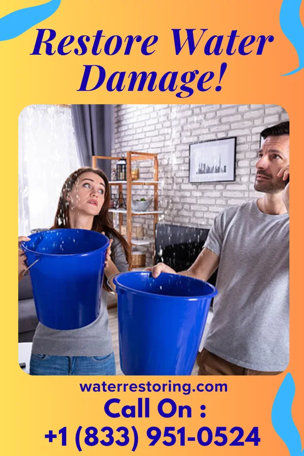 water restoration Silver Water Removal & Associates Berry