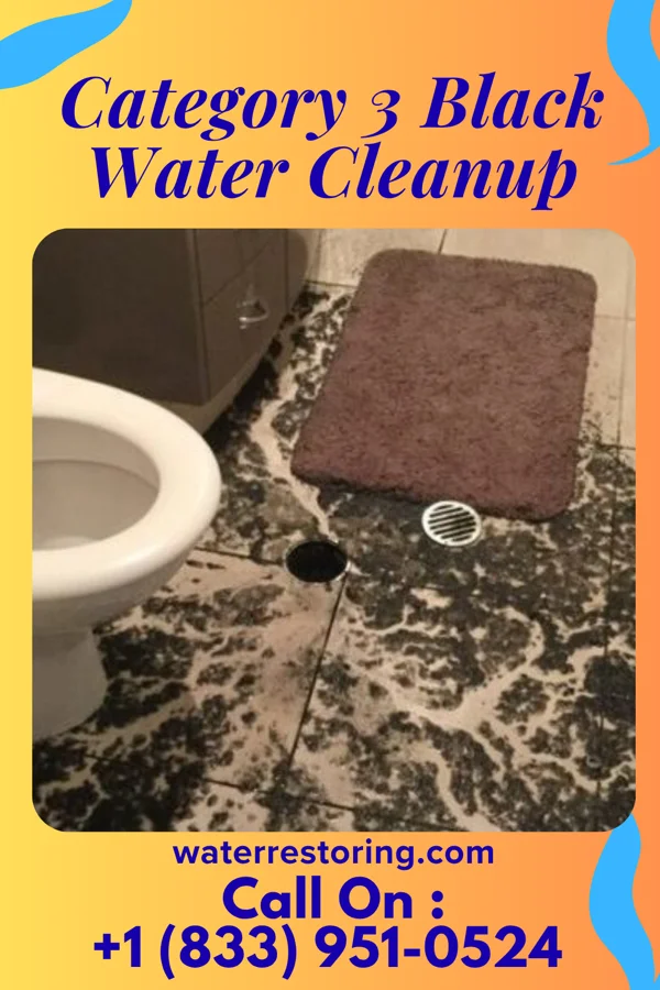 Category 3 Black Water Cleanup in Berry, KY
